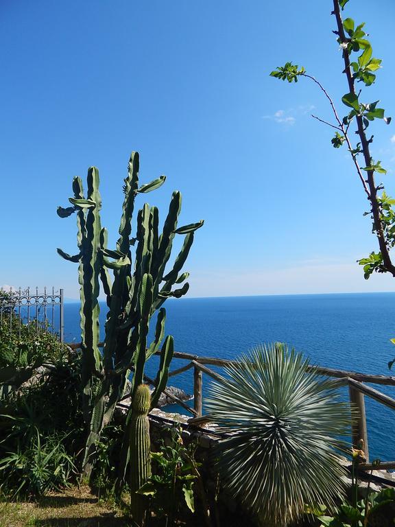 Amalfi View Cottage Buitenkant foto